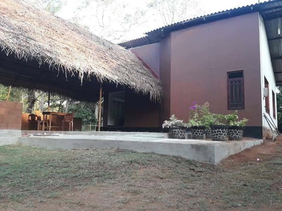 Gimanhala Cottage Anuradhapura Esterno foto