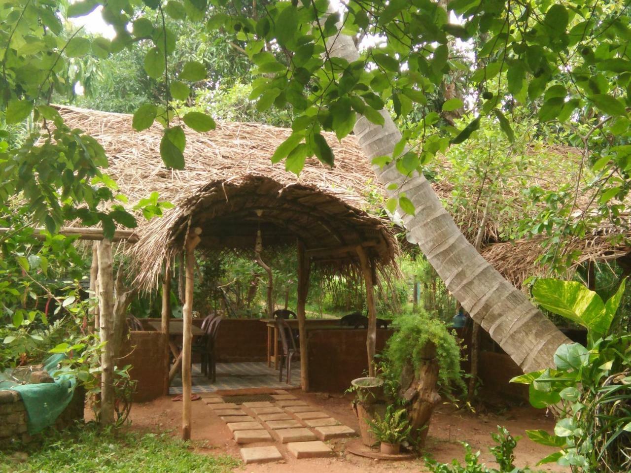 Gimanhala Cottage Anuradhapura Esterno foto